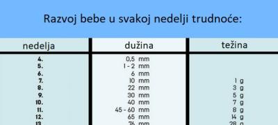 Kalendar za trudnice: Prosečna dužina i težina bebe u svakoj nedelji