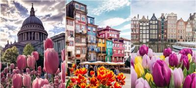 Najlepše Instagram fotke: Mesta širom sveta u prolećnom izdanju - sa procvetalim lalama