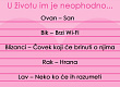 astro-kutak-jedna-stvar-koja-je-neophodna-svakom-horoskopskom-znaku-povekje.jpg