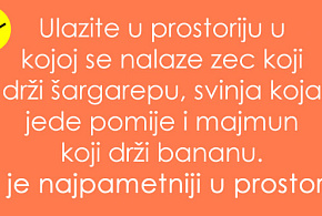 kviz-7-trik-pitanja-koja-vam-nece-dati-mira-dok-ih-ne-resite-01.jpg