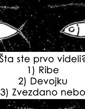 foto-test-koji-otkriva-karakter-sta-ste-prvo-videli-na-ilustraciji-01.jpg