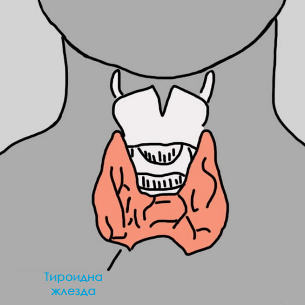 12-znakova-da-nesto-nije-u-redu-sa-vasom-tiroidnom-zlezdom-1.jpg