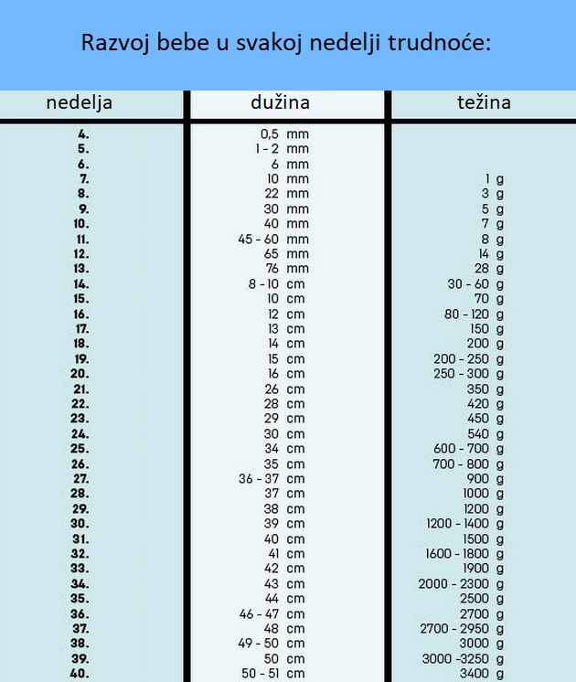 kalendar-za-trudnice-prosecna-duzina-i-tezina-bebe-u-svakoj-nedelji-2.jpeg