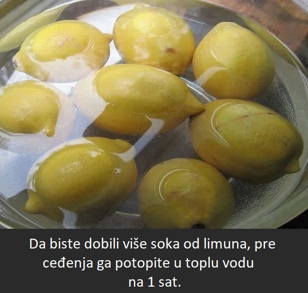 kocke-leda-da-bi-salata-ostala-sveza-saveti-za-domacinstvo-za-koje-cete-zaliti-sto-ih-niste-ranije-otkrili-06.jpeg