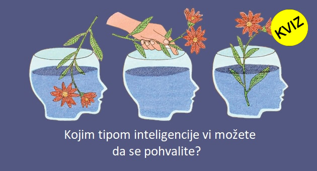 postoji-9-tipova-inteligencije-kojem-tipu-vi-pripadate-01.jpg