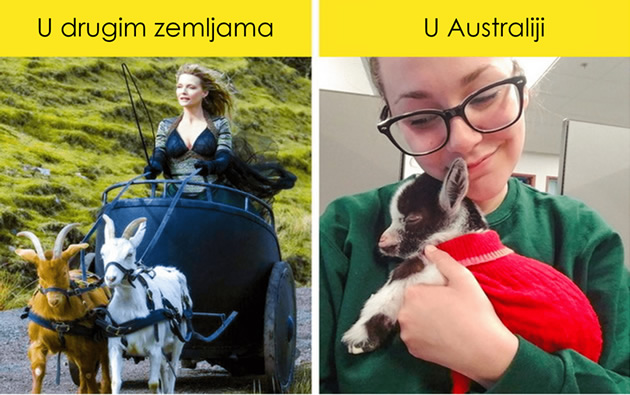 13-zakona-iz-australije-zbog-kojih-cete-drugacije-gledati-na-zivot-u-ovoj-zemlji-6.jpg