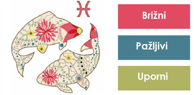 3-reci-koje-najbolje-opisuju-horoskopske-znakove-13.jpg