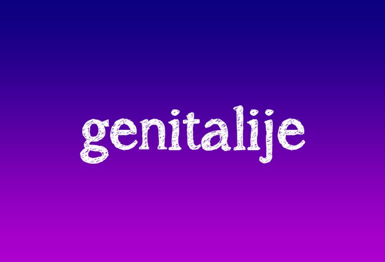 genitalni-organi.jpg