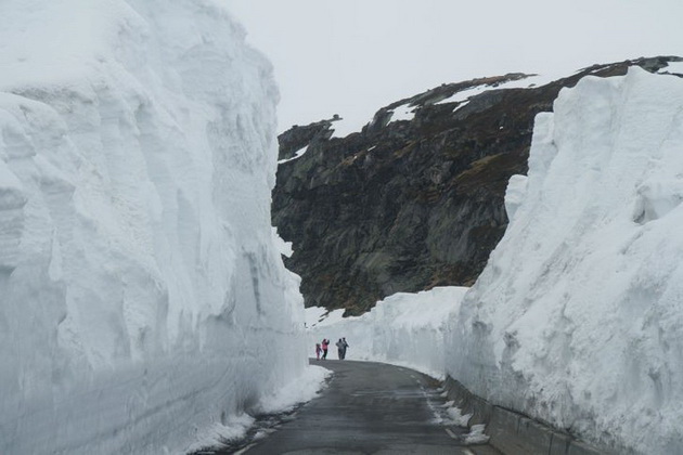 suma-kao-iz-bajke-jedinstvene-kuce-15-foto-dokaza-zasto-je-norveska-posebna-prica-03.jpg